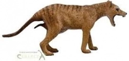 Collecta thylacine – female (Tasmanian tiger)