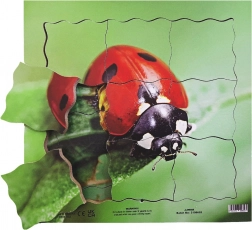 Just Jigsaws Wooden Layered Puzzle Ladybug and Its Life Cycle 19 Pieces