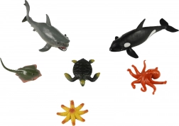 Set of Sea Animals in a Box