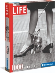 Puzzel Chihuahua van Clementoni 1000 stukjes