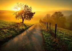 Ravensburger puzzle Morning in Golden Rays 1000 pieces