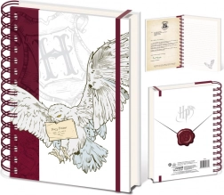 Harry Potter Ring Notebook Special Delivery