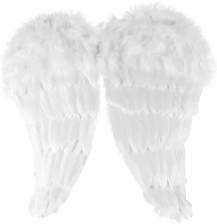 Ali d'angelo con piume