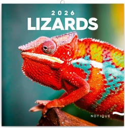 Calendario per appunti Lucertole 2026