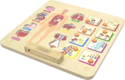 Lavagna educativa del corpo umano Masterkidz Montessori