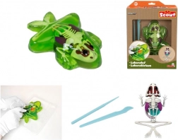 Discover Frog Dissection – Educational Slime Kit