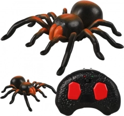 RC tarantula – remote-controlled spider with glowing eyes