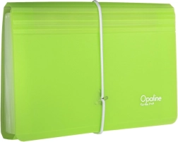 Organizer per documenti con elastico trasparente-verde