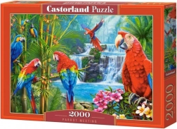 Puzzle 2000 pièces Parrot Meeting