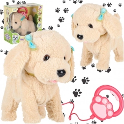 Interactive Leashed Puppy – Poodle, barks and walks