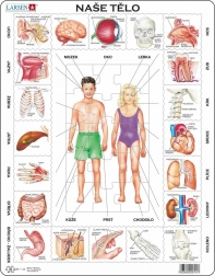 Larsen puzzle educativo Il nostro corpo 35 pezzi