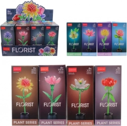 bloem – set van 12 stuks in displaybox