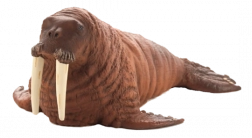 Realistic Figurine Walrus Mojjo