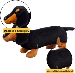 Plush Dachshund Black 25 cm