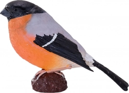 MOJO figure Eurasian bullfinch – realistic PVC bird without phthalates