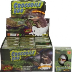 Ovetto con coccodrillo che cresce in acqua