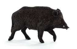 Animal Planet wild boar figurine – realistic model for kids and collectors