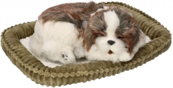 Adopt Me Breathing Shih Tzu Puppy