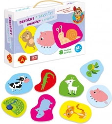 Alexander spoznavanje za najmlajše – ploščice barvice