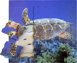 Wooden Layered Puzzle Turtle - 19 Pieces