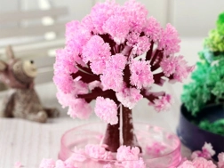magic blooming cherry blossom tree – pink crystalline tray tree