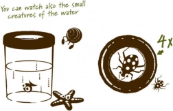 Navir Explora Large Insect Observation Cup