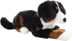 Plush Bernese Mountain Dog 65 cm