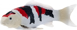 Mojo Showa Sanshoku Koi Carp Figurine