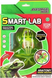 Jeu d’anatomie de la grenouille