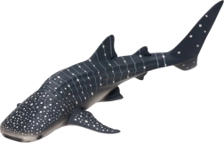 Whale Shark Model - Realistic Figurine