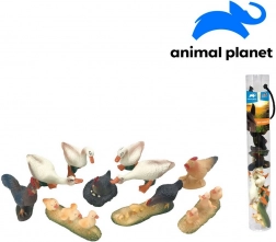 Animals on the Farm with AR App