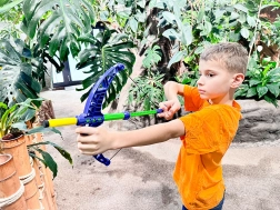 Foam Dart Bow for Kids