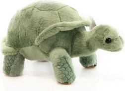 Plush Turtle 20 cm