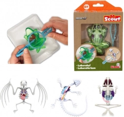 Mini laboratoř pitvy – žába, mlok nebo netopýr