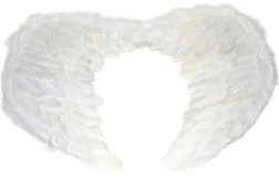 Grote engelenvleugels