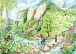 Puzzle Passeggiate a Dovedale 1000 pezzi