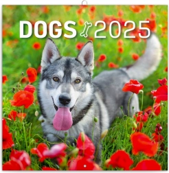 Calendario da parete con note Cani 2025 30 × 30 cm