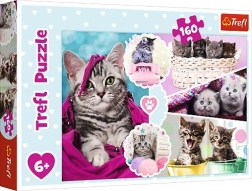 Trefl Cute Kittens 160-Piece Puzzle