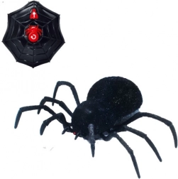 Remote Control Black Widow Spider