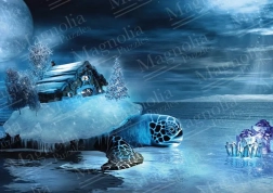 House and Turtle Puzzle 1000 pieces