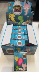 growing egg with axolotl 6.5 cm