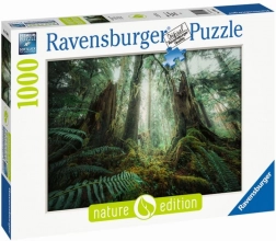 Puzzle 1000 pezzi Foresta Ravensburger
