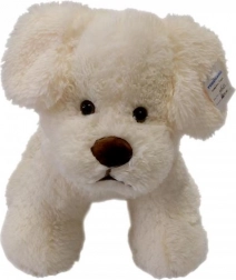 Cream Plush Puppy