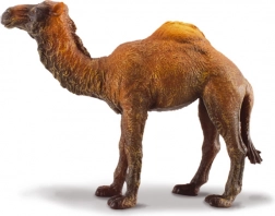 Dromedary Figure Collecta