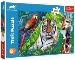 Puzzle Amazing Animals 300 pieces 60 × 40 cm