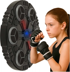 Training Boxing Target for Wall with Bluetooth Music and USB
