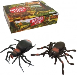 Fun Rubber Spiders in Display Box