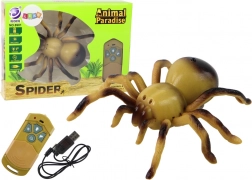 Fun remote-controlled tarantula spider