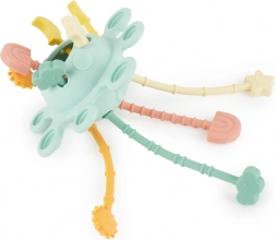 Silikonska motorična igrača z aktivnostmi Eucalyptus