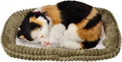 Gattino tricolore che respira sulla cuccia